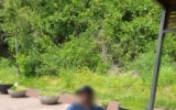 6월 산책