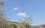 3월 산책